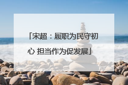 宋超：履职为民守初心 担当作为促发展