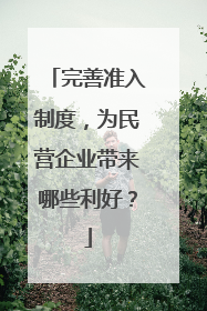 完善准入制度，为民营企业带来哪些利好？