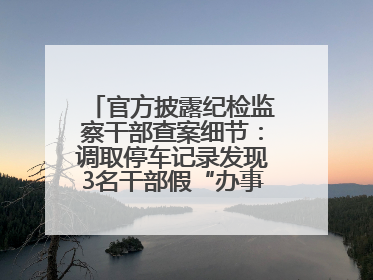 官方披露纪检监察干部查案细节：调取停车记录发现3名干部假“办事”真麻将