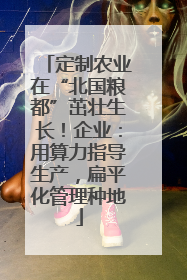 定制农业在“北国粮都”茁壮生长！企业：用算力指导生产，扁平化管理种地