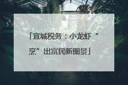 宜城税务：小龙虾“烹”出富民新图景