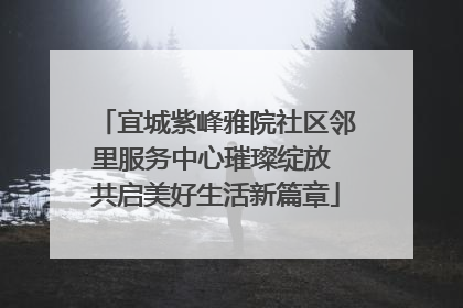 宜城紫峰雅院社区邻里服务中心璀璨绽放 共启美好生活新篇章