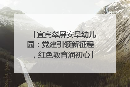 宜宾翠屏安阜幼儿园：党建引领新征程，红色教育润初心