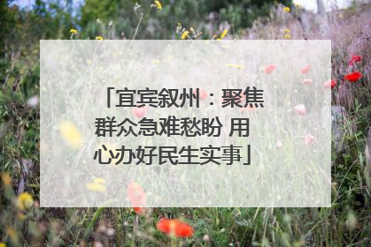 宜宾叙州：聚焦群众急难愁盼 用心办好民生实事