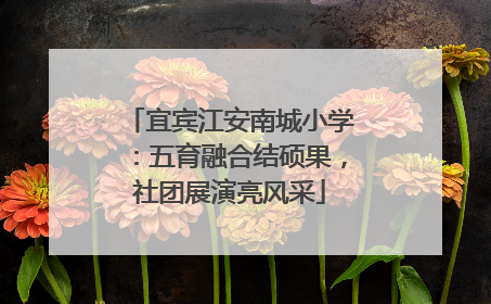 宜宾江安南城小学：五育融合结硕果，社团展演亮风采