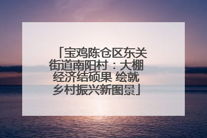 宝鸡陈仓区东关街道南阳村：大棚经济结硕果 绘就乡村振兴新图景