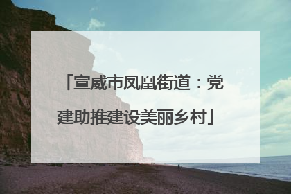 宣威市凤凰街道：党建助推建设美丽乡村
