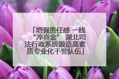 增强责任感 一线“淬真金” 湖北司法行政系统锻造高素质专业化干警队伍