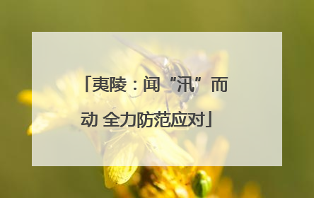 夷陵：闻“汛”而动 全力防范应对