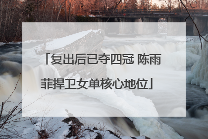 复出后已夺四冠 陈雨菲捍卫女单核心地位