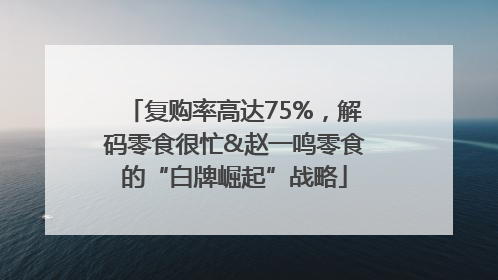 复购率高达75%，解码零食很忙&赵一鸣零食的“白牌崛起”战略