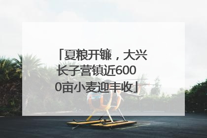 夏粮开镰，大兴长子营镇近6000亩小麦迎丰收