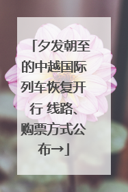 夕发朝至的中越国际列车恢复开行 线路、购票方式公布→