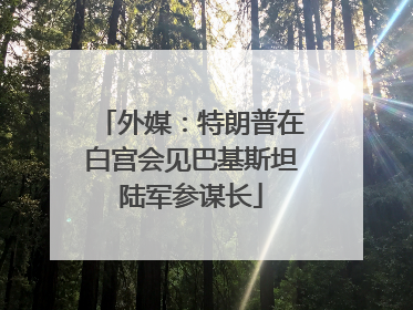 外媒：特朗普在白宫会见巴基斯坦陆军参谋长