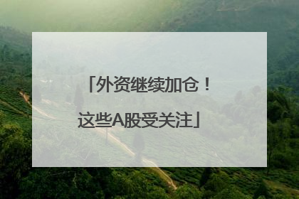 外资继续加仓！这些A股受关注
