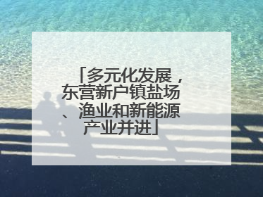 多元化发展，东营新户镇盐场、渔业和新能源产业并进
