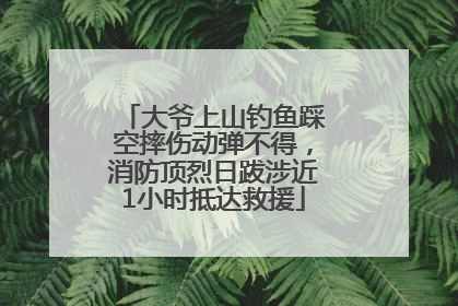 大爷上山钓鱼踩空摔伤动弹不得，消防顶烈日跋涉近1小时抵达救援
