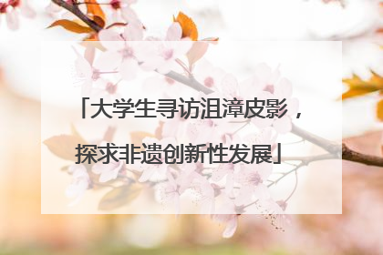 大学生寻访沮漳皮影，探求非遗创新性发展
