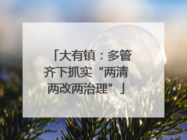 大有镇：多管齐下抓实“两清两改两治理”
