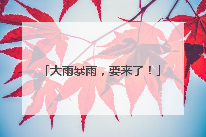 大雨暴雨，要来了！