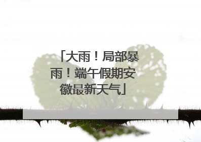 大雨！局部暴雨！端午假期安徽最新天气