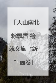 天山南北粽飘香 绘就文旅“新”画卷