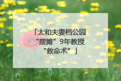 太和夫妻档公园“摆摊”9年教授“救命术”