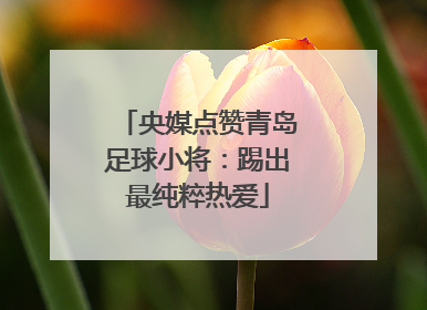 央媒点赞青岛足球小将：踢出最纯粹热爱