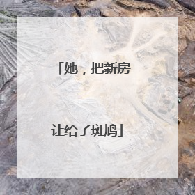 她，把新房让给了斑鸠