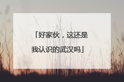 好家伙，这还是我认识的武汉吗