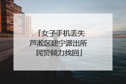 女子手机丢失 芦淞区建宁派出所民警倾力找回
