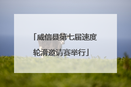 威信县第七届速度轮滑邀请赛举行