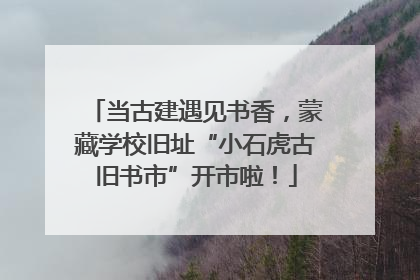 当古建遇见书香，蒙藏学校旧址“小石虎古旧书市”开市啦！