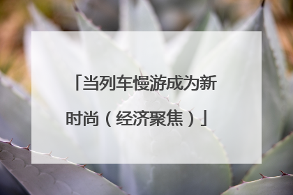 当列车慢游成为新时尚（经济聚焦）