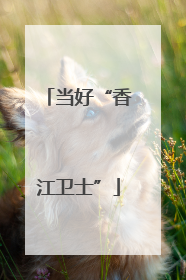 当好“香江卫士”