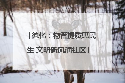 德化：物管提质惠民生 文明新风润社区