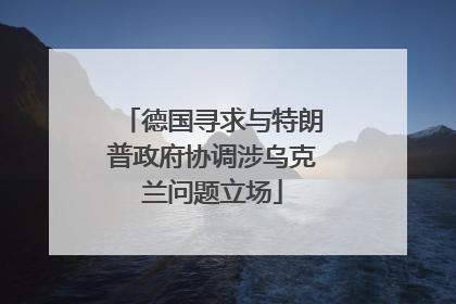 德国寻求与特朗普政府协调涉乌克兰问题立场