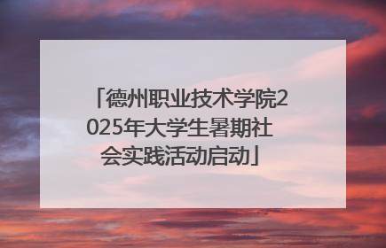 德州职业技术学院2025年大学生暑期社会实践活动启动