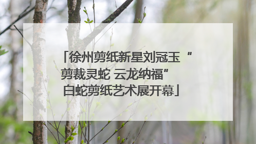 徐州剪纸新星刘冠玉“剪裁灵蛇 云龙纳福” 白蛇剪纸艺术展开幕