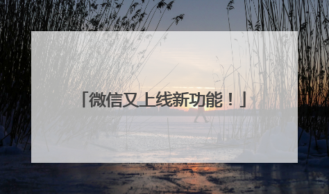 微信又上线新功能！