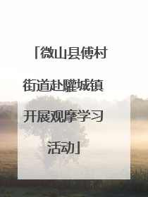 微山县傅村街道赴驩城镇开展观摩学习活动