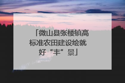 微山县张楼镇高标准农田建设绘就好“丰”景
