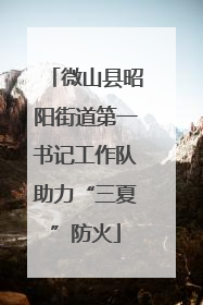 微山县昭阳街道第一书记工作队助力“三夏”防火