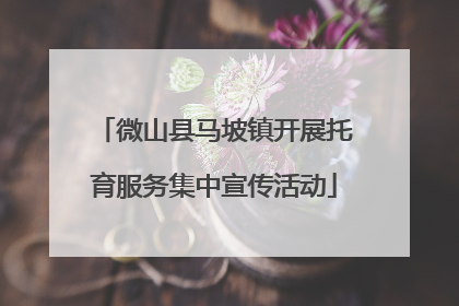 微山县马坡镇开展托育服务集中宣传活动