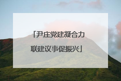 尹庄党建凝合力 联建议事促振兴