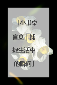 小书桌盲盒｜捕捉生活中的瞬间