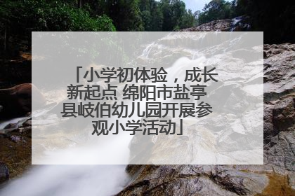 小学初体验，成长新起点 绵阳市盐亭县岐伯幼儿园开展参观小学活动