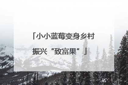 小小蓝莓变身乡村振兴“致富果”