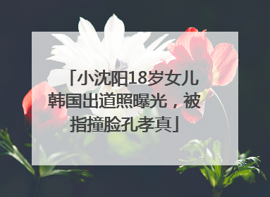 小沈阳18岁女儿韩国出道照曝光，被指撞脸孔孝真