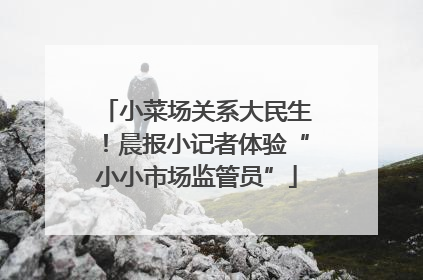 小菜场关系大民生！晨报小记者体验“小小市场监管员”